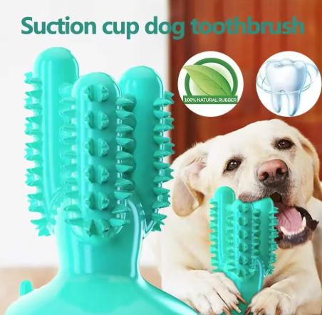 Dog Toothbrush Toys for Dogs Interactive Toy Training IQ Teeth Cleaning Durable Small Medium Large Dog Puppy Chewing