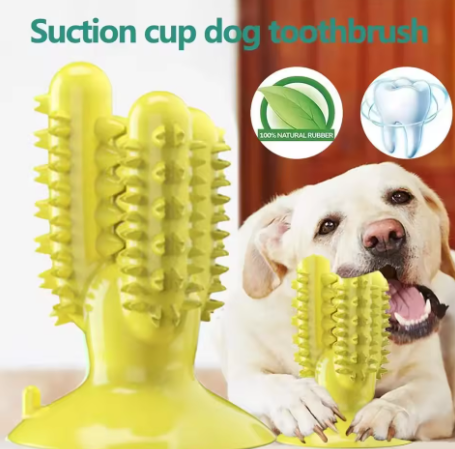 Dog Toothbrush Toys for Dogs Interactive Toy Training IQ Teeth Cleaning Durable Small Medium Large Dog Puppy Chewing