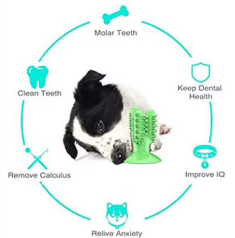 Dog Toothbrush Toys for Dogs Interactive Toy Training IQ Teeth Cleaning Durable Small Medium Large Dog Puppy Chewing