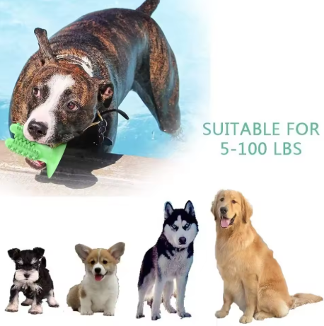 Dog Toothbrush Toys for Dogs Interactive Toy Training IQ Teeth Cleaning Durable Small Medium Large Dog Puppy Chewing