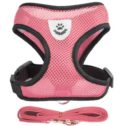 Cat Harness Vest Walking Lead Leash For Puppy Dogs Collar Polyester Adjustable Mesh Dog Harness For Small Medium Pet Accessories